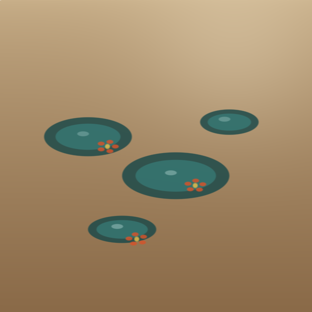 Tide Pool