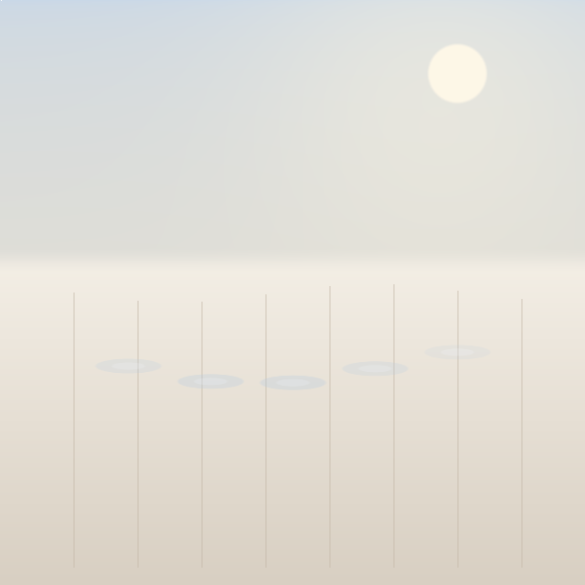 Salt Flats
