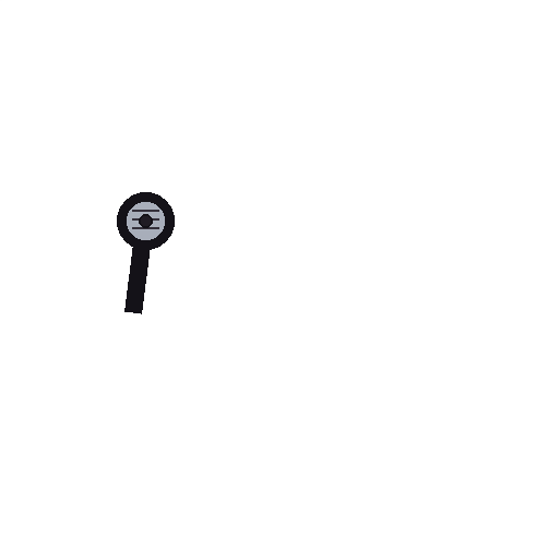 Mic