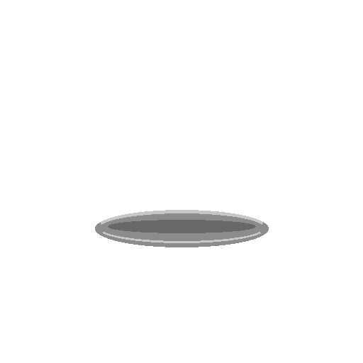 Pewter Collar