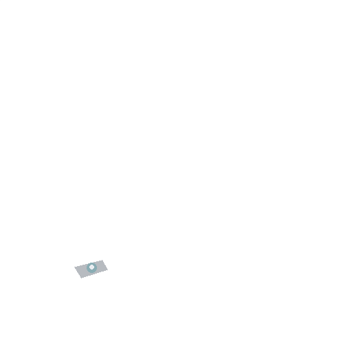 Shoulder Pin