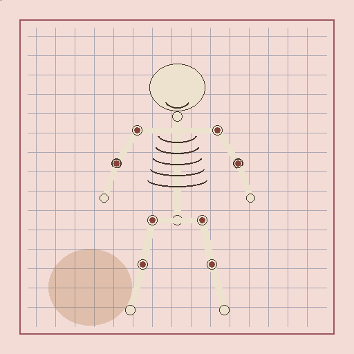 Ossein preview 6