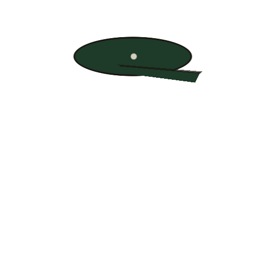 Back Cap