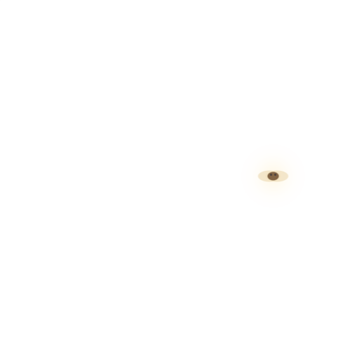 Orbit Moth